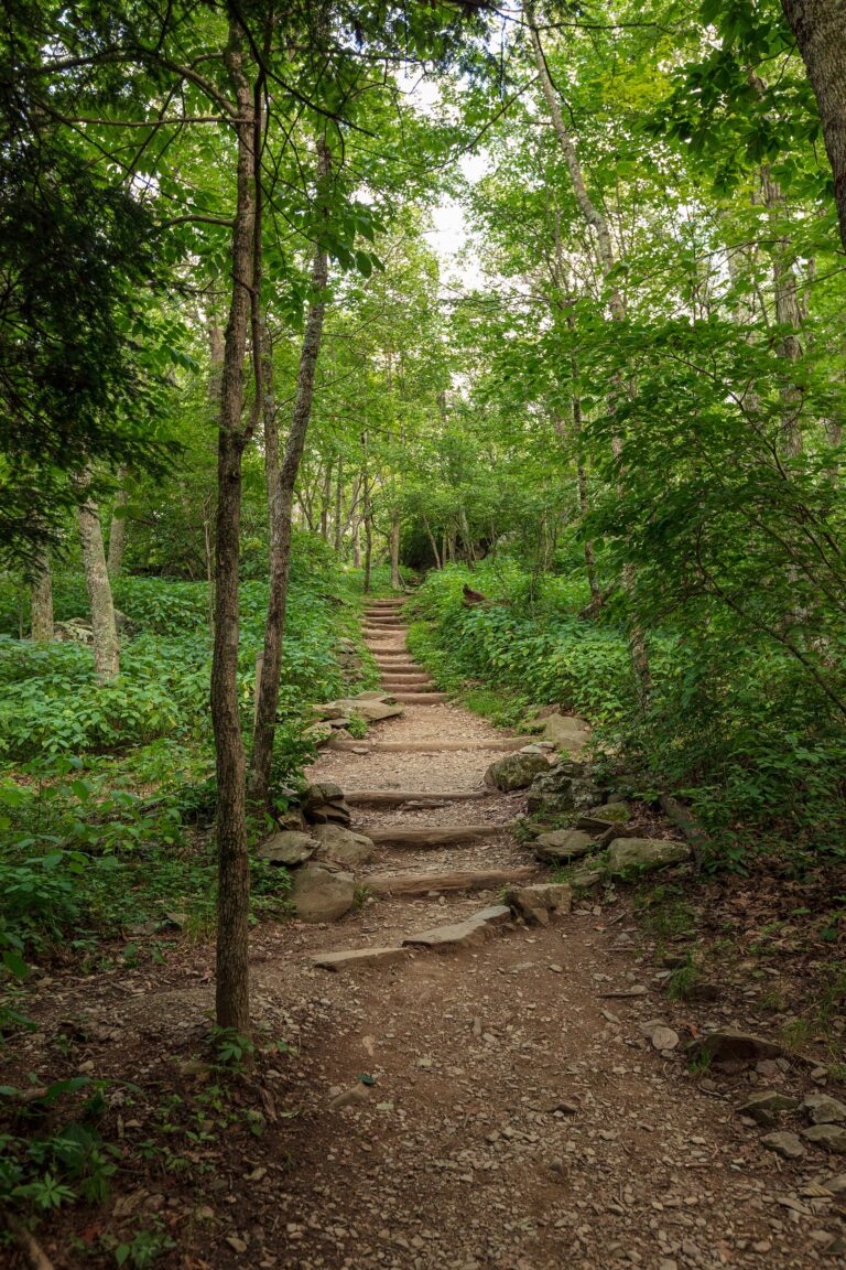 12 Hiking Terms Designed to Conceal How Miserable the Next Hour Will Be