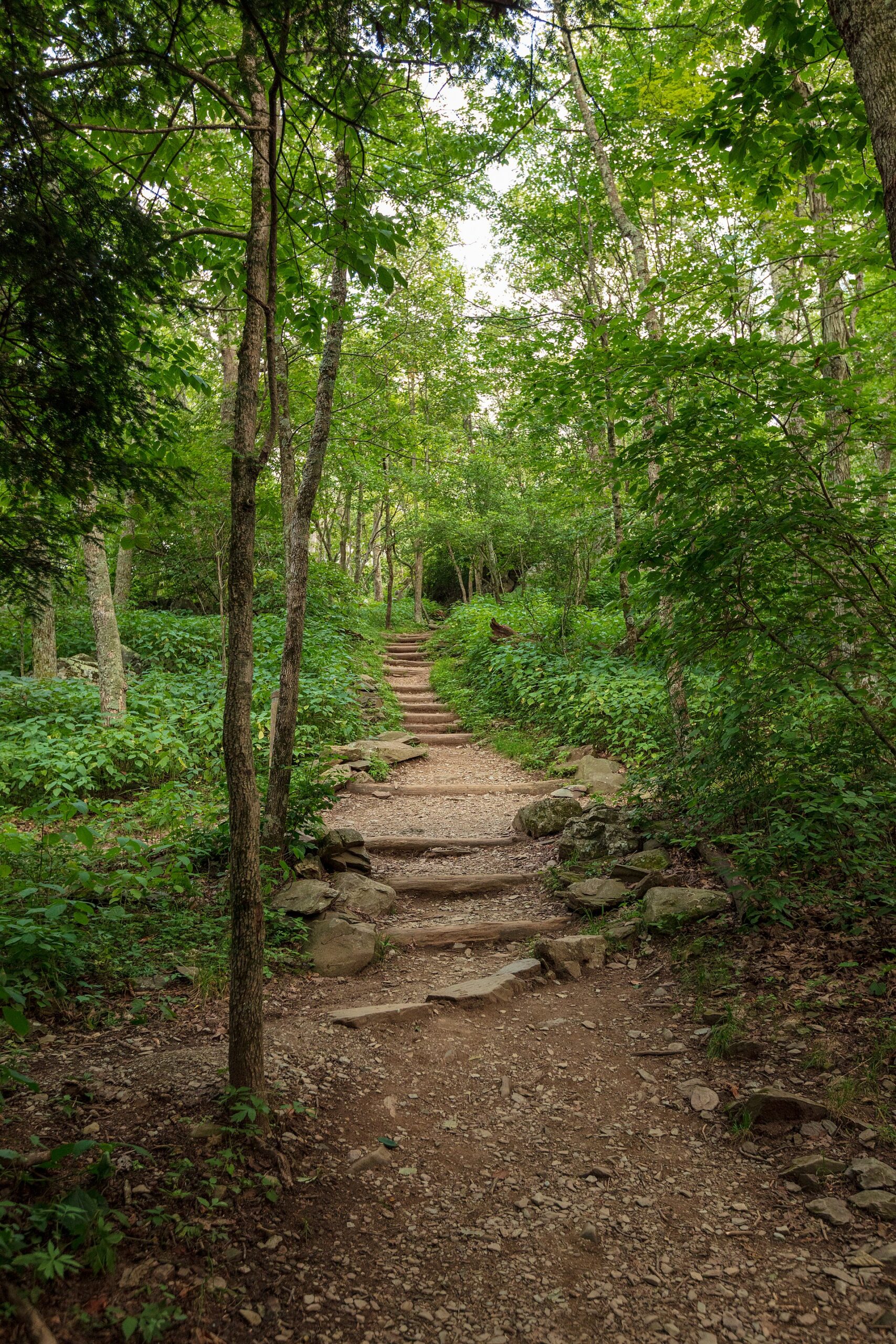 12 Hiking Terms Designed to Conceal How Miserable the Next Hour Will Be