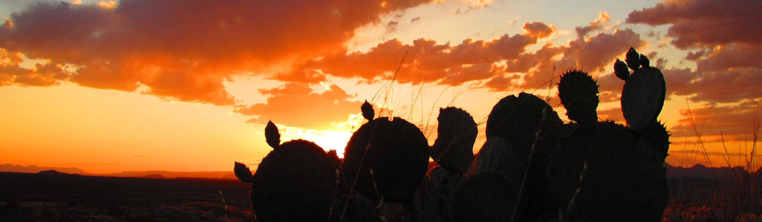 Big Bend National Park landscape