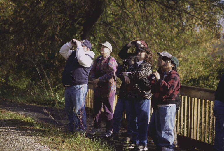 Birders Propose a New Field Mark: Confidence