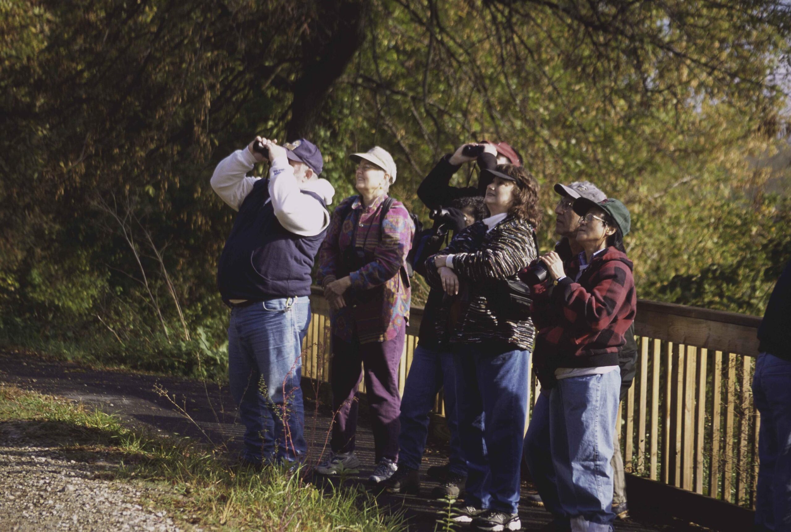 Birders Propose a New Field Mark: Confidence