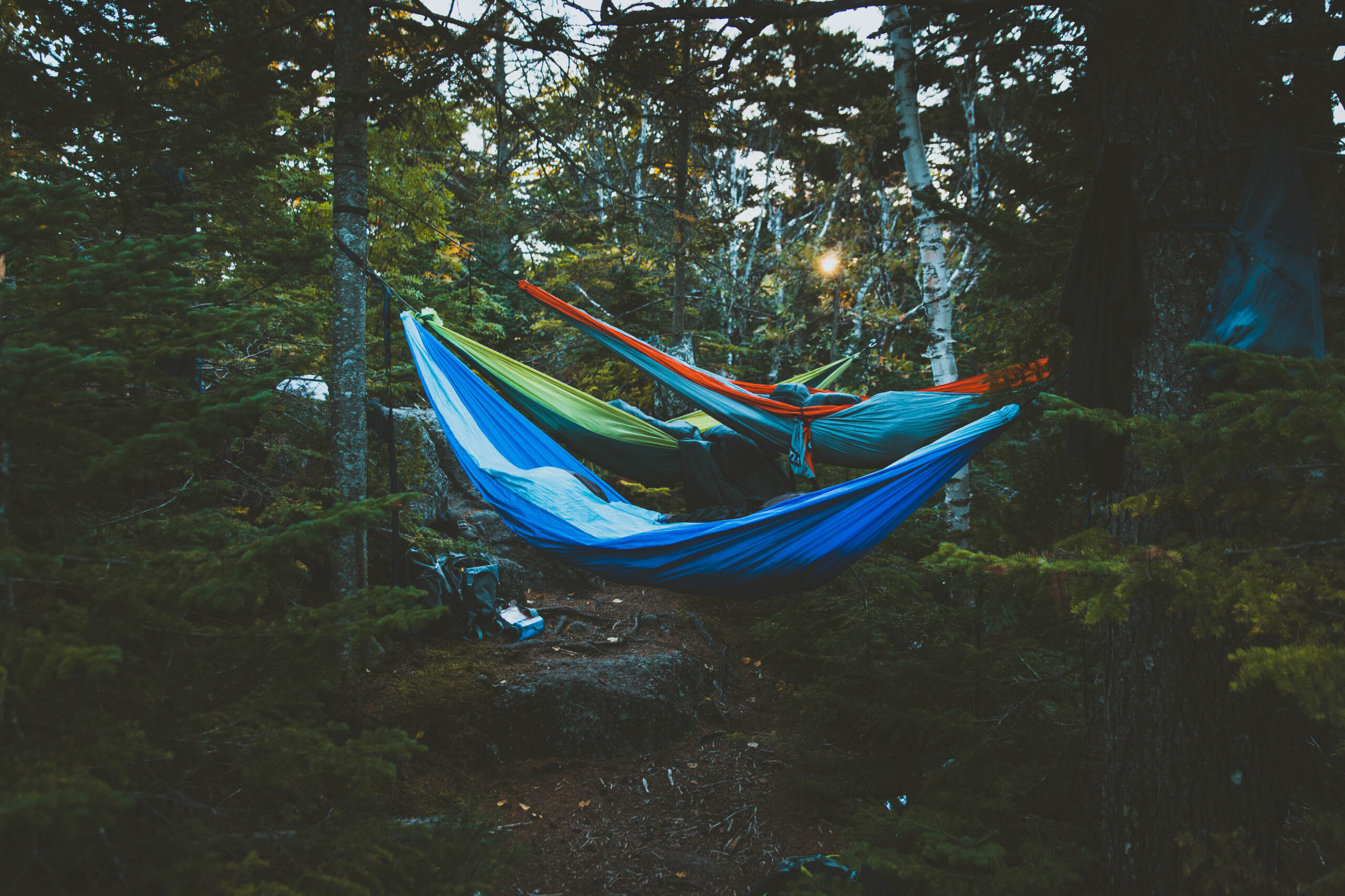 10 Hammocks for Sleeping Terribly Between Two Trees