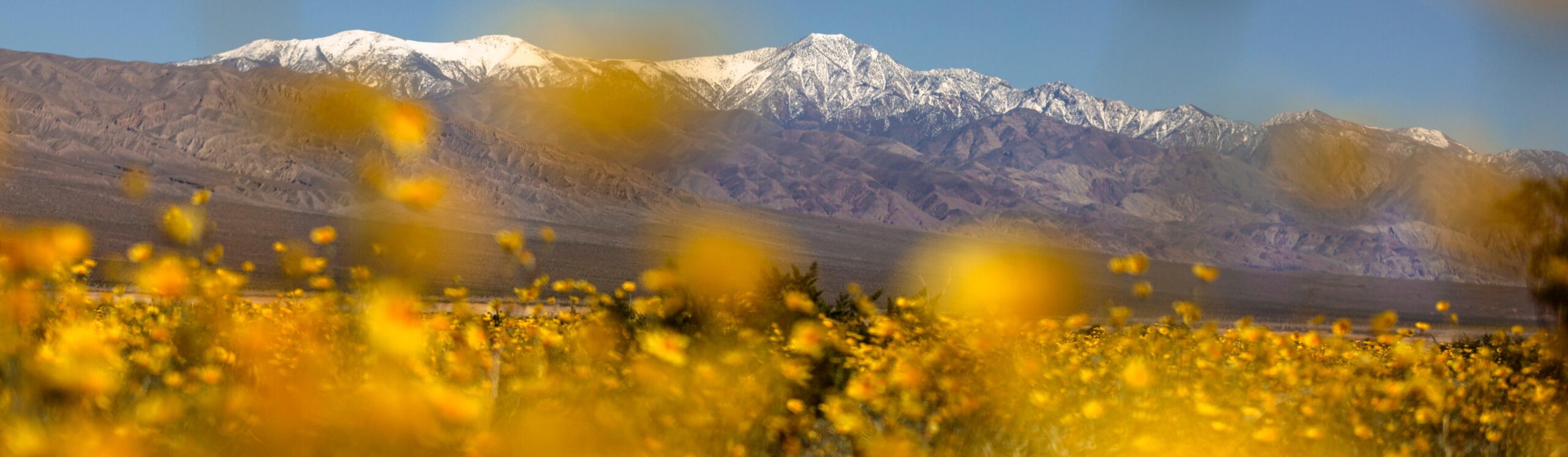 Death Valley National Park landscape