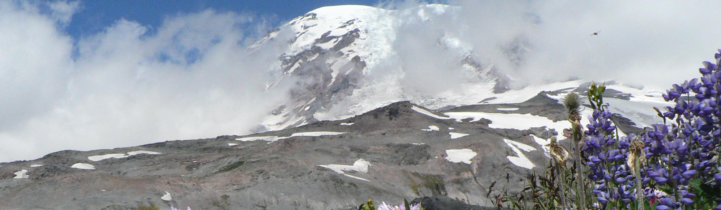 Mount Rainier National Park landscape