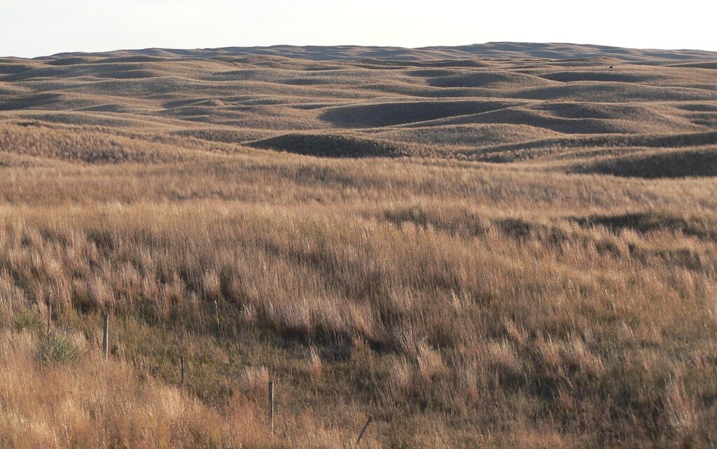 Grass-covered rolling dunes of the Nebraska Sandhills seen from Highway 97.