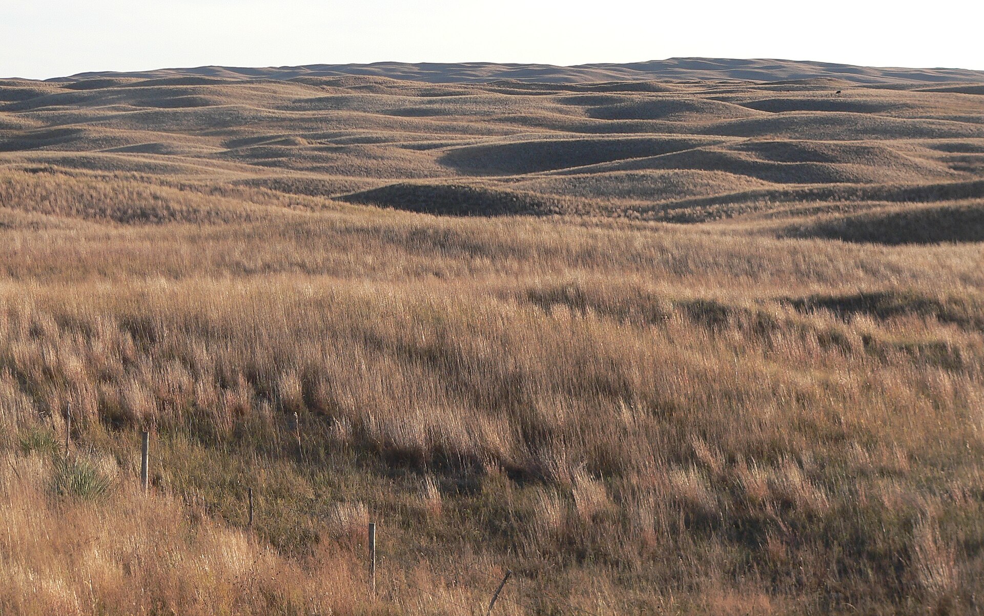 The Nebraska Sandhills Are a Desert Wearing Prairie