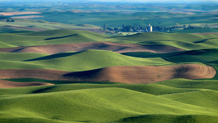 The Palouse Looks Fake