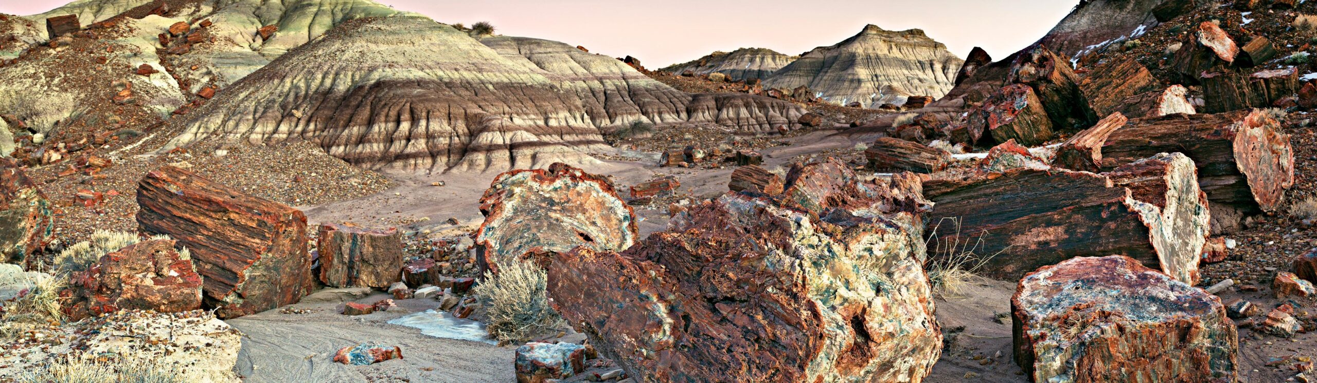 Petrified Forest National Park landscape