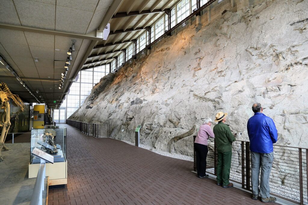 Visitors and a ranger beside the fossil-packed Wall of Bones inside Dinosaur National Monument's Quarry Exhibit Hall.