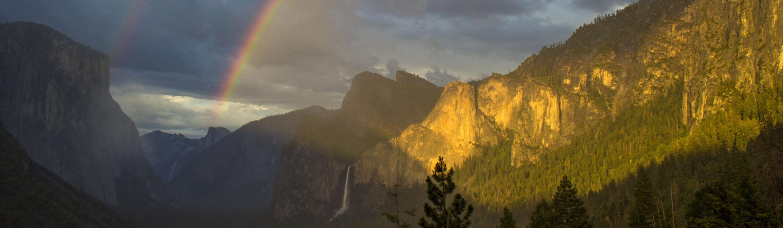 Yosemite National Park landscape